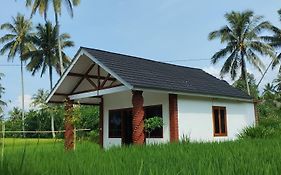 Rice Field Inn - Lombok