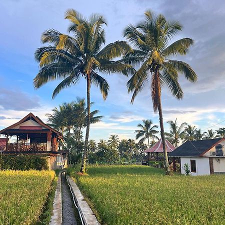 Rice Field Inn - Lombok Tetebatu Extérieur photo