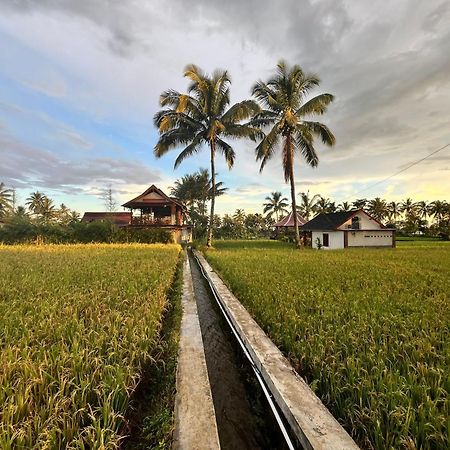 Rice Field Inn - Lombok Tetebatu Extérieur photo