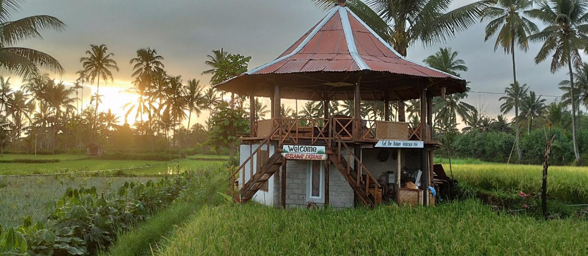 Rice Field Inn - Lombok Tetebatu Extérieur photo