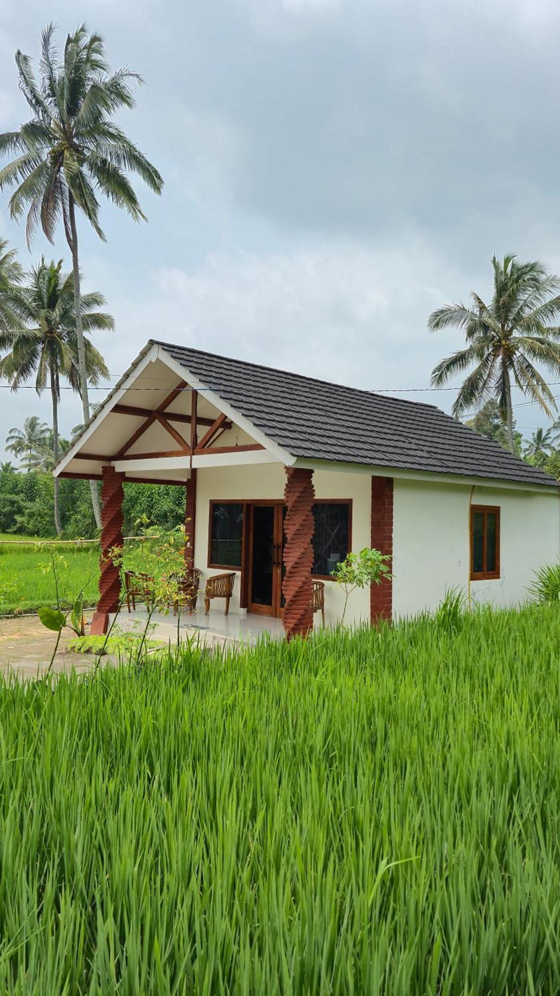Rice Field Inn - Lombok Tetebatu Extérieur photo