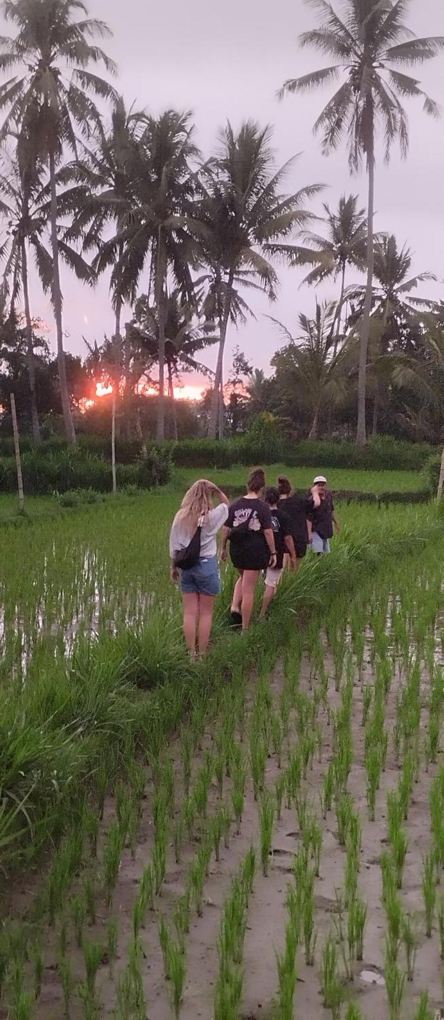 Rice Field Inn - Lombok Tetebatu Extérieur photo