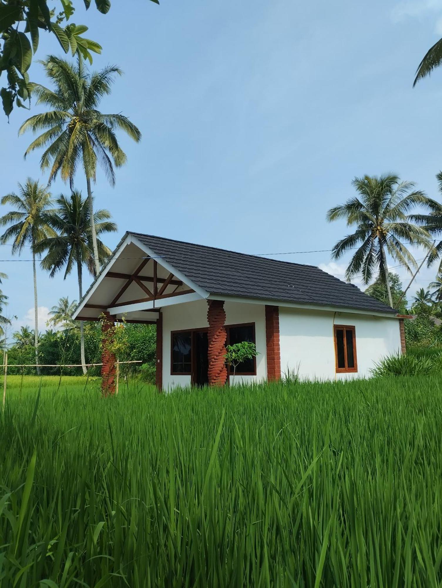 Rice Field Inn - Lombok Tetebatu Chambre photo