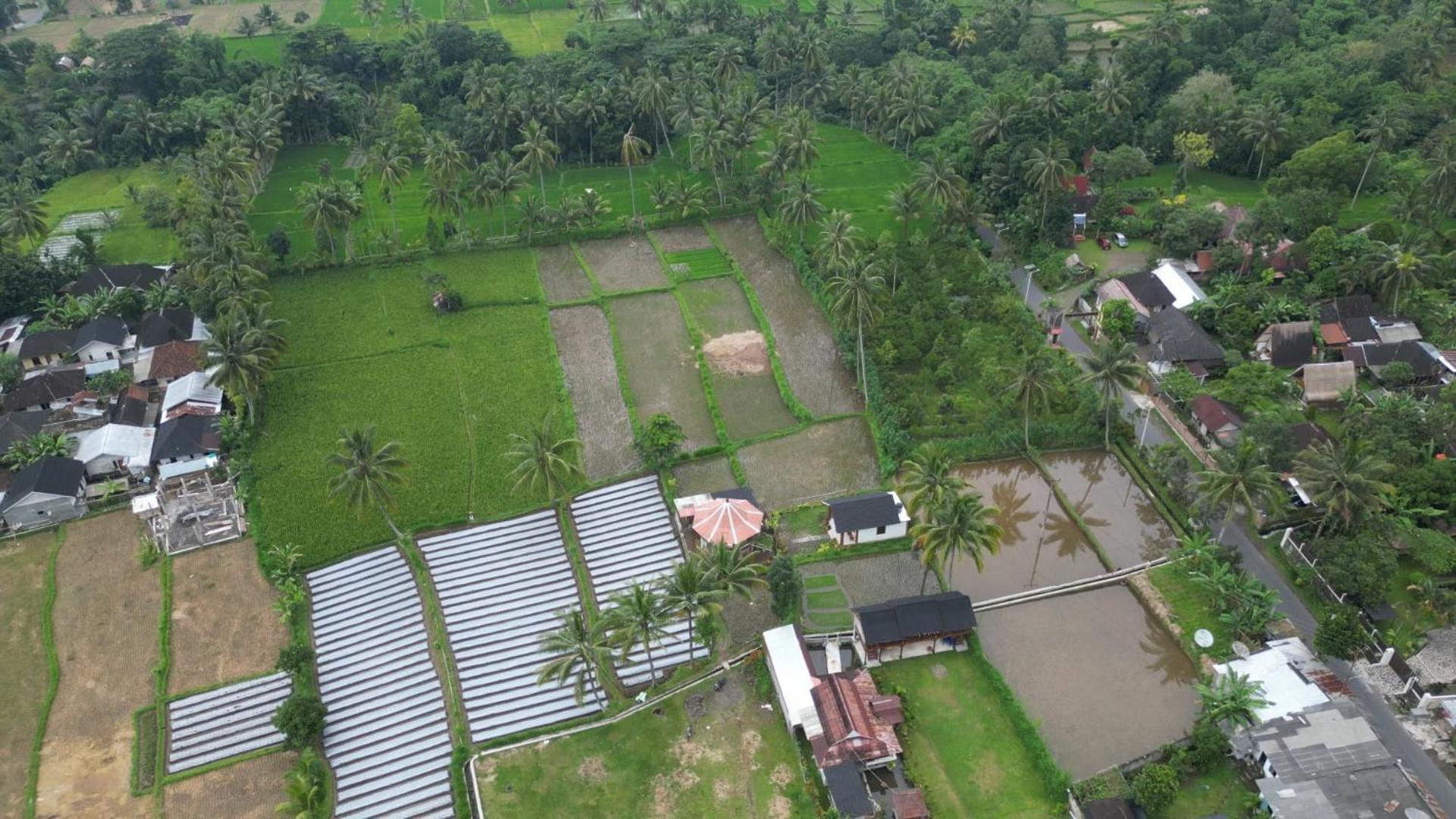 Rice Field Inn - Lombok Tetebatu Extérieur photo