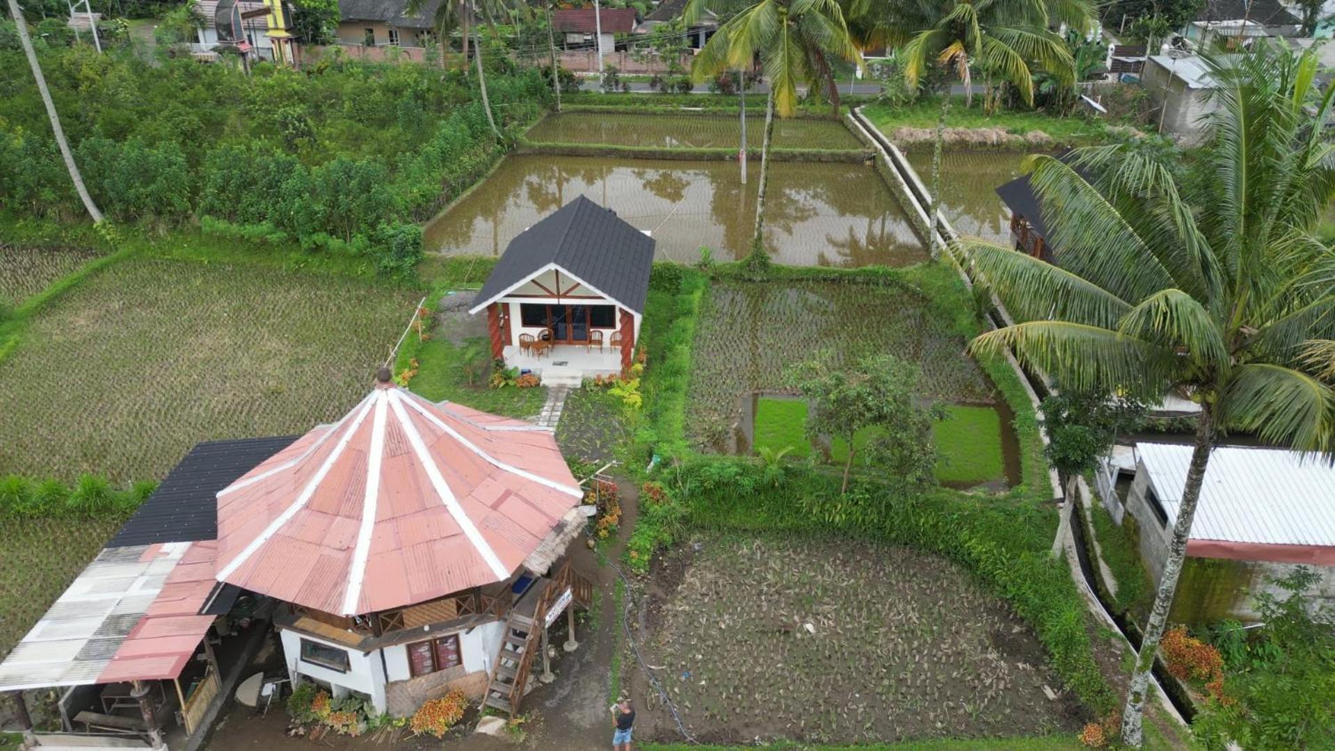 Rice Field Inn - Lombok Tetebatu Extérieur photo