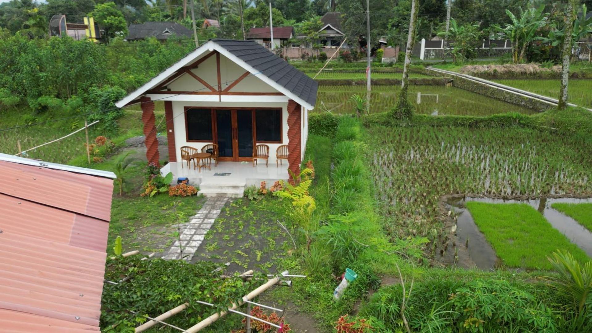 Rice Field Inn - Lombok Tetebatu Extérieur photo