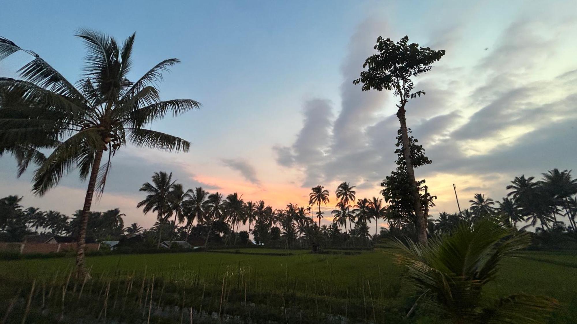 Rice Field Inn - Lombok Tetebatu Extérieur photo